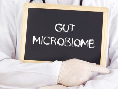 Forget Immune-Boosting Remedies and Focus on Gut Health Instead