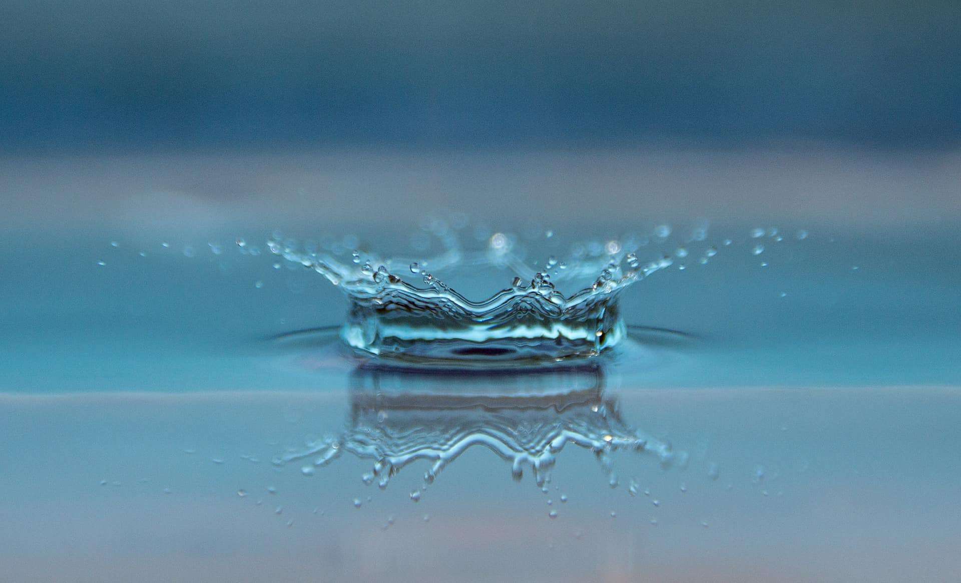 Water—The True Essence of Life