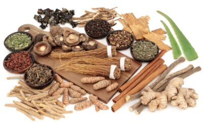 Harnessing Nature’s Power: Exploring Adaptogens For Your Health