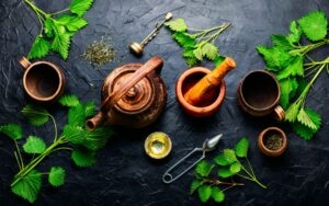 herbal therapy for Lyme Disease