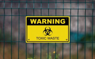 Practical Tips for Reducing Environmental Toxins in Your Life